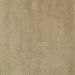 ARBITON WOODRIC ACOUSTIC CWA 301 Dub Weston