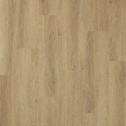 ARBITON WOODRIC ACOUSTIC CWA 305 Dub Cordoba